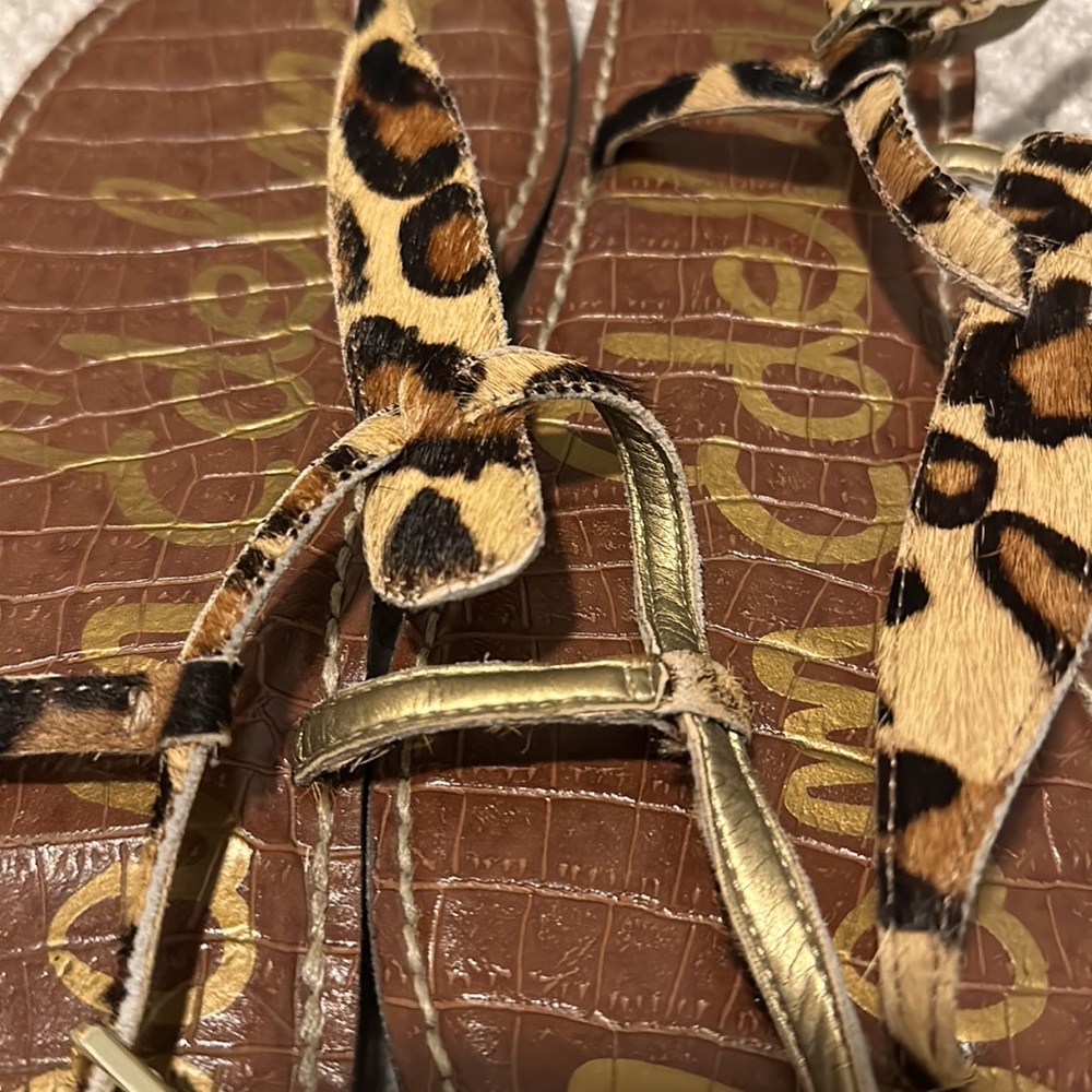 Sam Edelman ‘Gigi’ Leopard - Picture 2 of 3